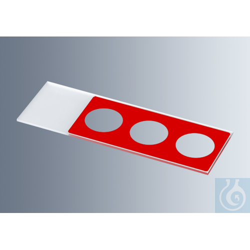 Microscope slides with reaction wells