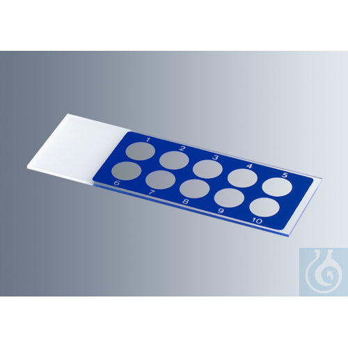Microscope slides with reaction wells