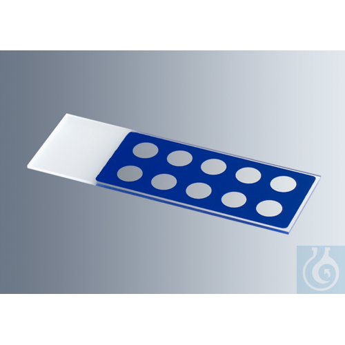 Microscope slides with reaction wells