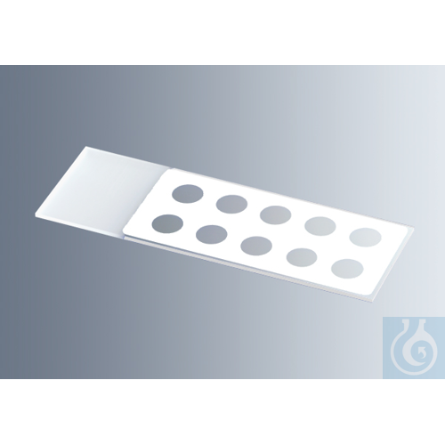 Microscope slides with reaction wells