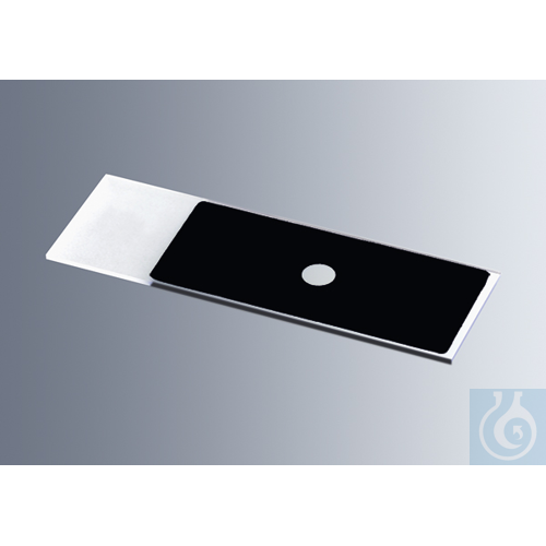 Microscope slides with reaction wells