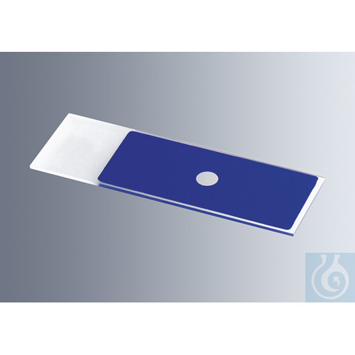 Microscope slides with reaction wells
