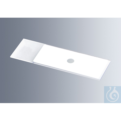 Microscope slides with reaction wells
