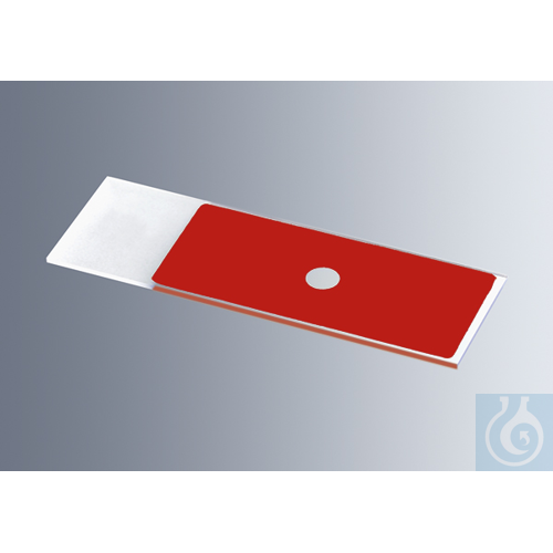 Microscope slides with reaction wells