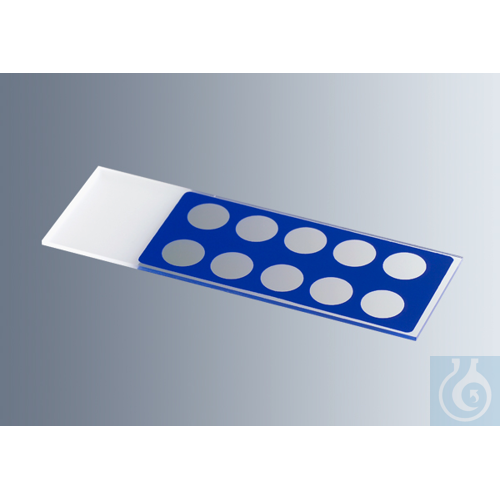 Microscope slides with reaction wells