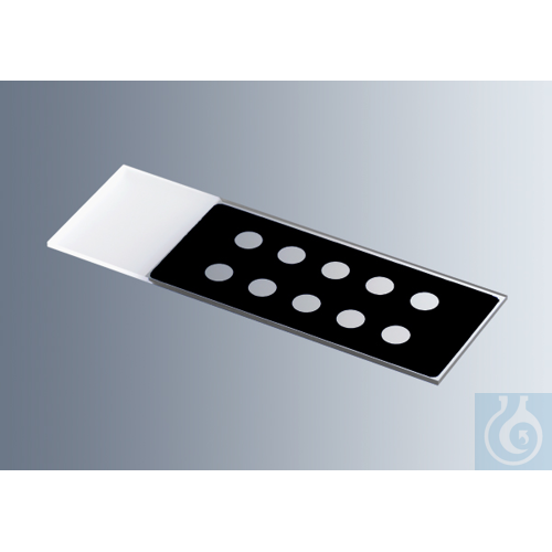 Microscope slides with reaction wells