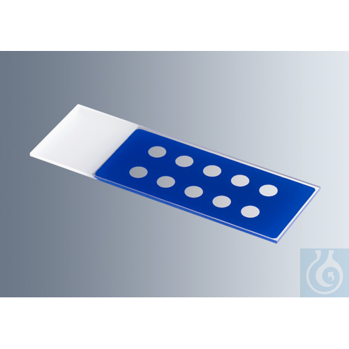 Microscope slides with reaction wells
