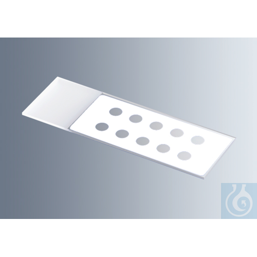 Microscope slides with reaction wells