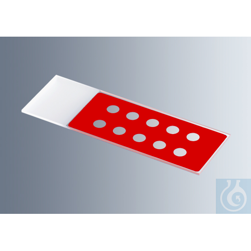 Microscope slides with reaction wells