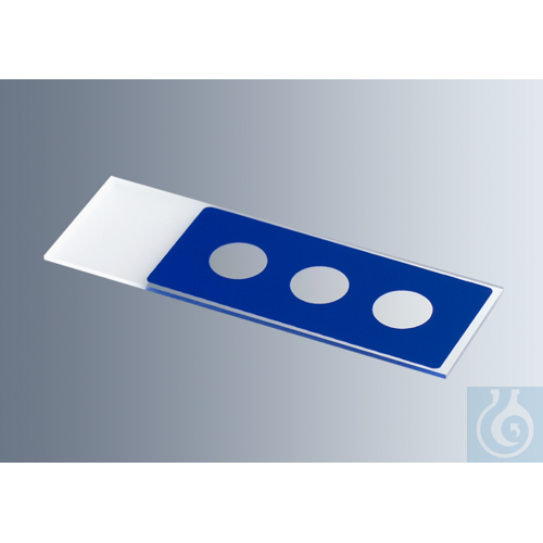 Microscope slides with reaction wells