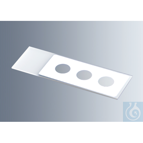 Microscope slides with reaction wells