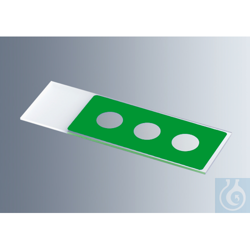 Microscope slides with reaction wells