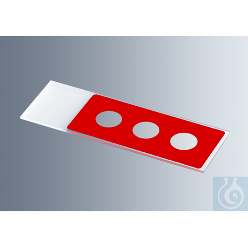 Microscope slides with reaction wells