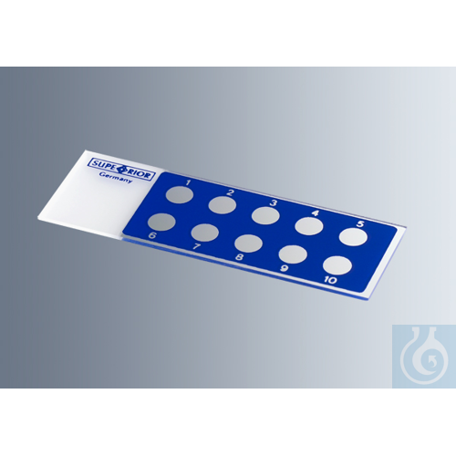 Microscope slides with reaction wells
