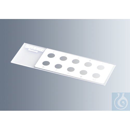 Microscope slides with reaction wells