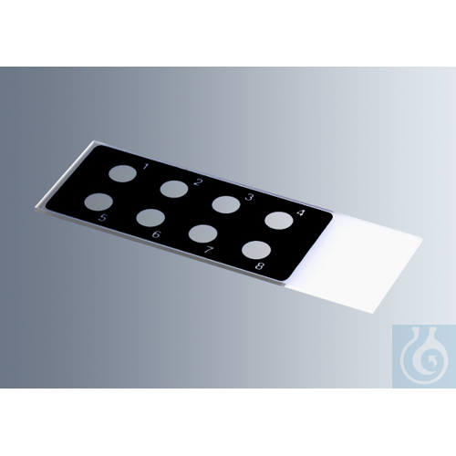 Microscope slides with reaction wells
