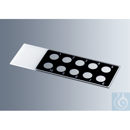 Microscope slides with reaction wells