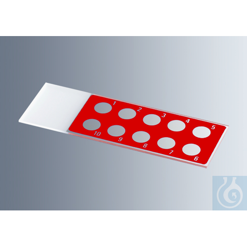 Microscope slides with reaction wells