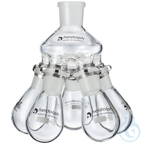 Spider with 5 flasks (100 ml each) NS 29/32