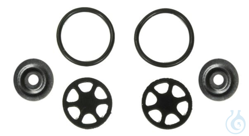 SPARE PART SET VALVE SIMDOS KALREZ