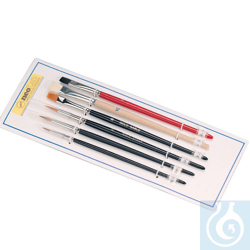 neoChoice Laborpinsel, 6 Stck./Satz