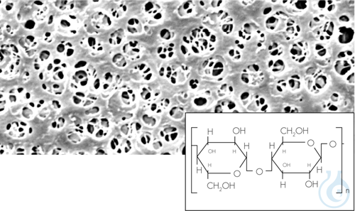 RCMembran, 0,2 µm, 50 mm, 100 stuks, filters van geregenereerd cellulosemembraan / Type 184