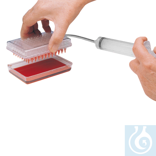neoChoice Vaccu-Pette/96 für Mikrotiterplatten