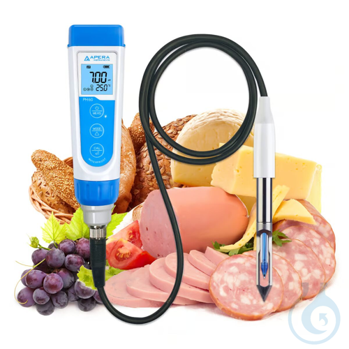 PH60 Premium pH pocket meter