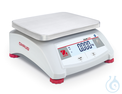 Compact Scale V12P30 EU