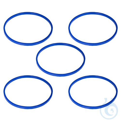 BactoSonic DI 5 Silicone seal