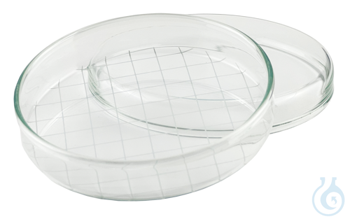 Petri dishes glass with grid 10 x 2 cm