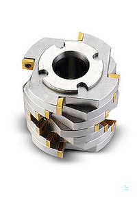 disk mill.cutter rotor P-19 L with indexable inserts with fixed knives