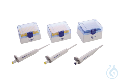 Reference 2 3-pack option 2