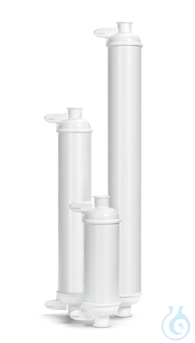 Sartopure PP3 Maxicaps 3m 30'' 1 pc