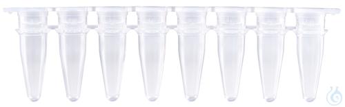 Expell PCR strips of 8 tubes 0.2 mL, clear, bag, Case / 5 x 10 x 12 pcs.