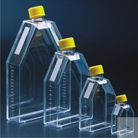 Tissue culture flasks polystyrene growth area 25cm