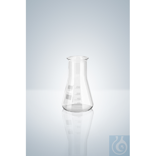 ERLENMEYER FLASK 100 ML, WIDE NECK WITH RIM