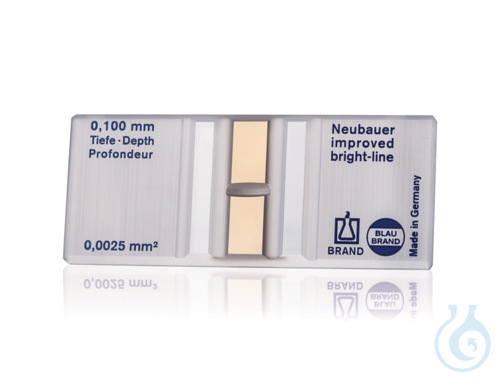 Count. chamber BB Neubauer improved, w/o spring clips, double rul.bright-line