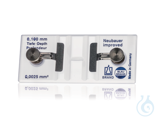 Count. chamber BB Neubauer improved, with spring clips, double ruling