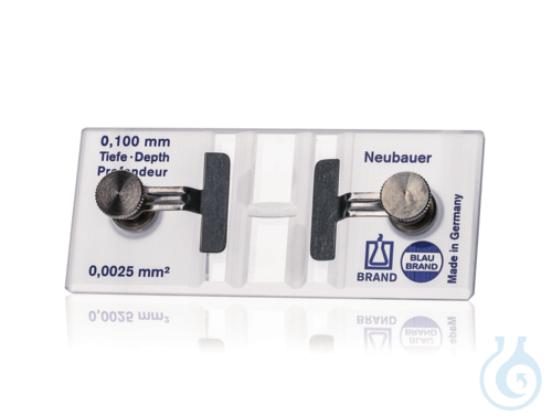 Counting chamber BB Neubauer pattern, with spring clips, double ruling