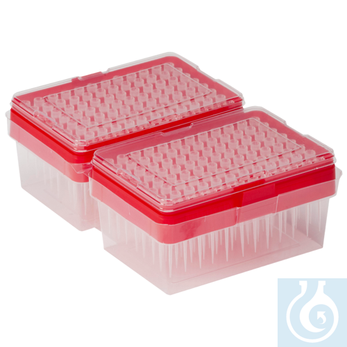 neoChoice NeoMultiTray Pipettenspitzen 200-1000 µl natur, 16 x 60 St./Pack