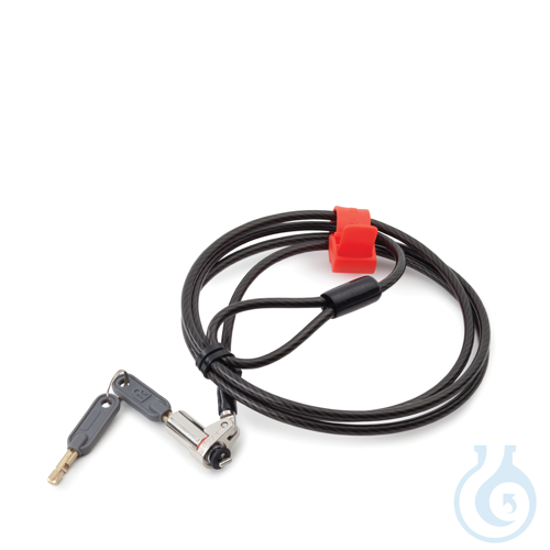 Anti-Theft Device Lab Balance