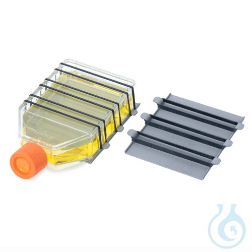 2 Universal Clip Plates