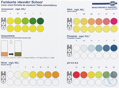 VISO School reagent case- color scale -