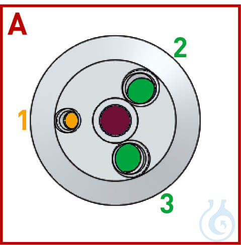 BOLA Reactor Lids, DN 60 H 31 mm 4x female thread center neck: 1/2 NPT lateral n
