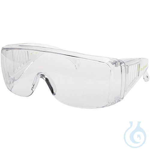 VISITA overglasses