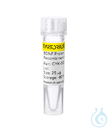 Recombinant human BDNF protein 0.025mg