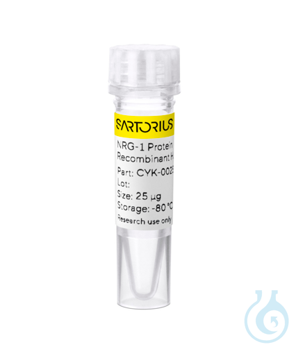 Recombinant human NRG-1 protein 0.025mg