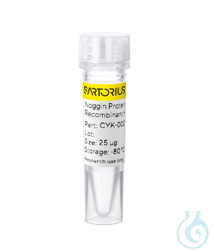 Recombinant human Noggin protein 0.025mg