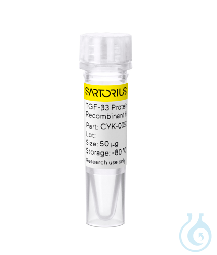 Recombinant human TGF-?3 PLUS protein